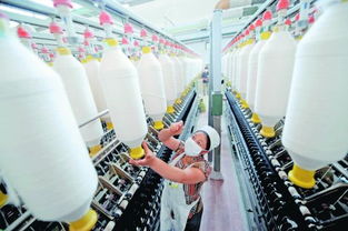 進口棉紗價格比國產棉花便宜 內外有別 傷及紡織業