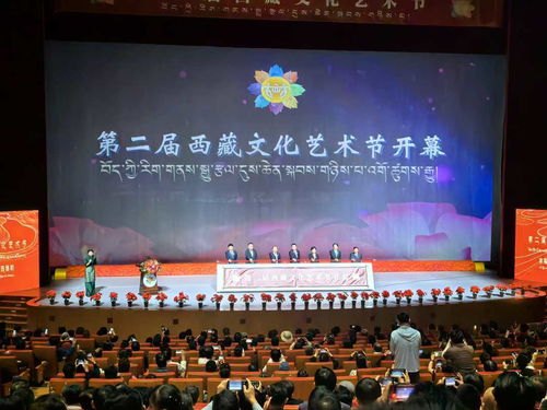 雪域高原綻放藝術之花 第二屆西藏文化藝術節(jié)盛大開幕